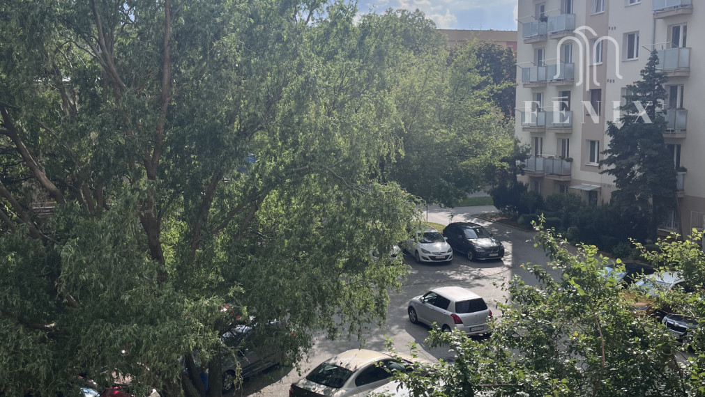 Prenajom 1 izbového bytu, Park mládeže, Košice- Sever.
