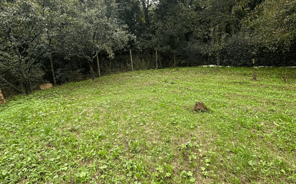 Záhrada 500m2, Debraď- Košice okolie