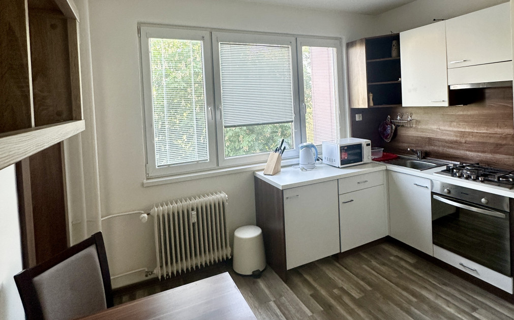 Prenájom 1 izb.bytu-Košice -Terasa-Tr.SNP