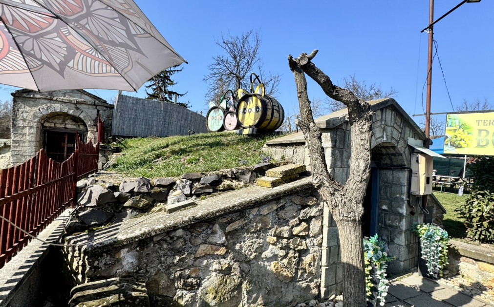 Tokaj vinárstvo: biznis, vinice, pivnica