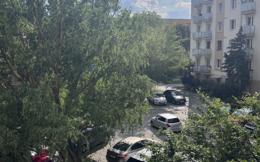 Prenajom 1 izbového bytu, Park mládeže, Košice- Sever.