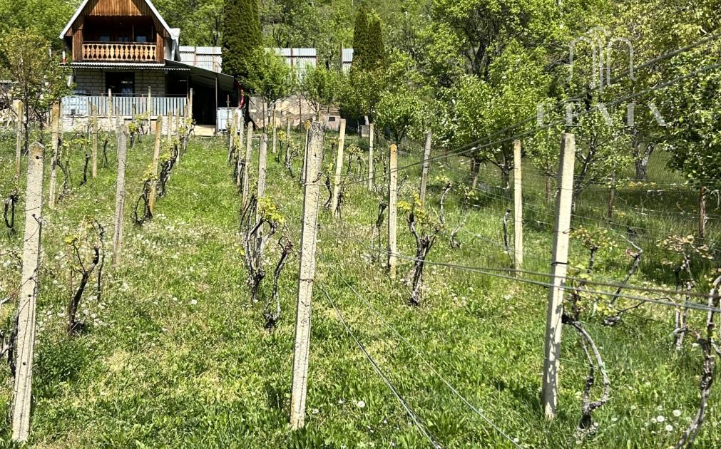 Chata s vinicou Jablonov nad Turňou