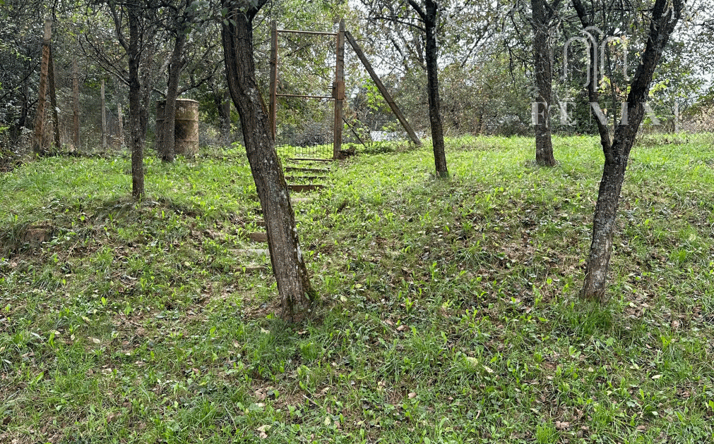 Záhrada 500m2, Debraď- Košice okolie