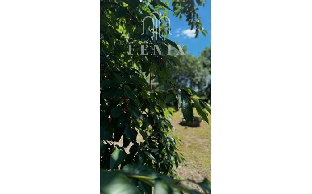 Rodinný dom s veľkou záhradou - Perín-Chym - Gomboš