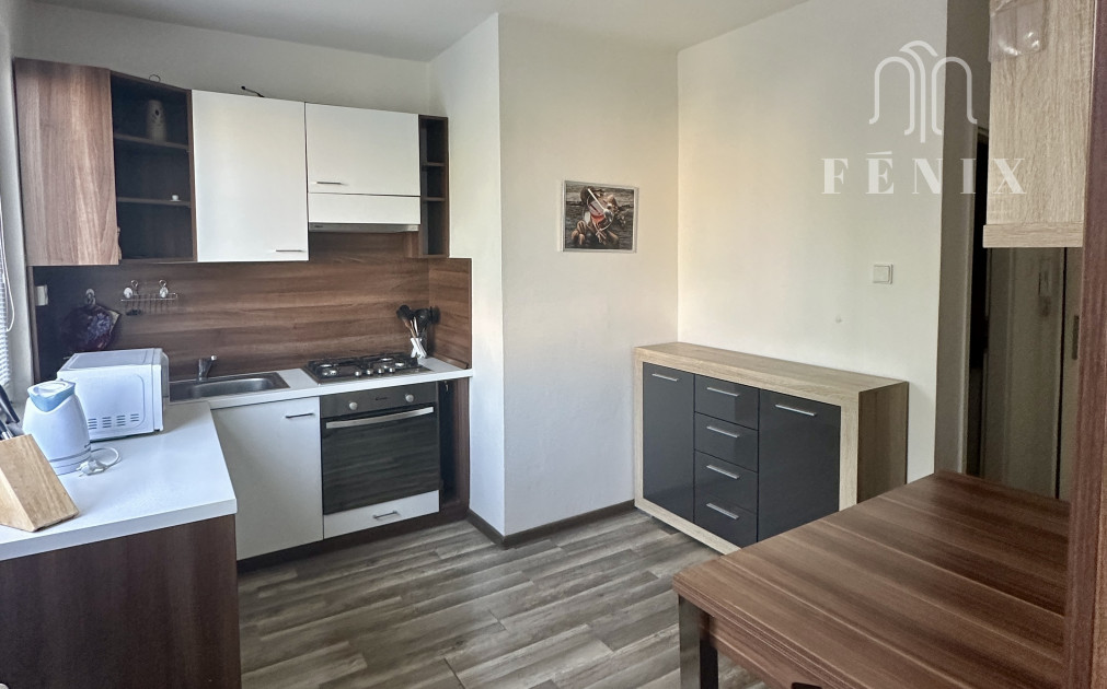 Prenájom 1 izb.bytu-Košice -Terasa-Tr.SNP