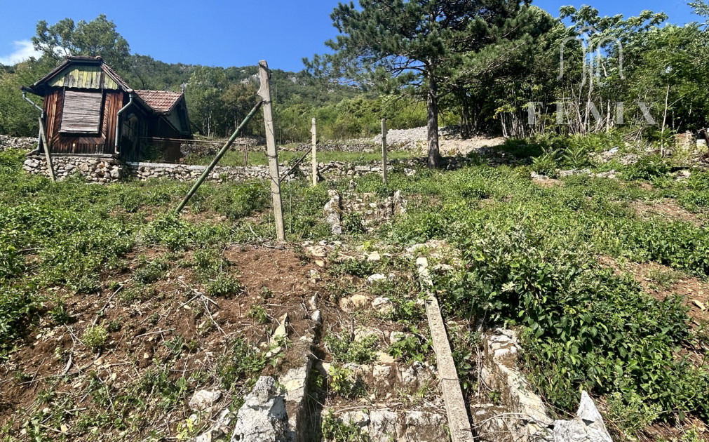 Predaj pozemku – vinica s výhľadom na Hrušovské rybníky