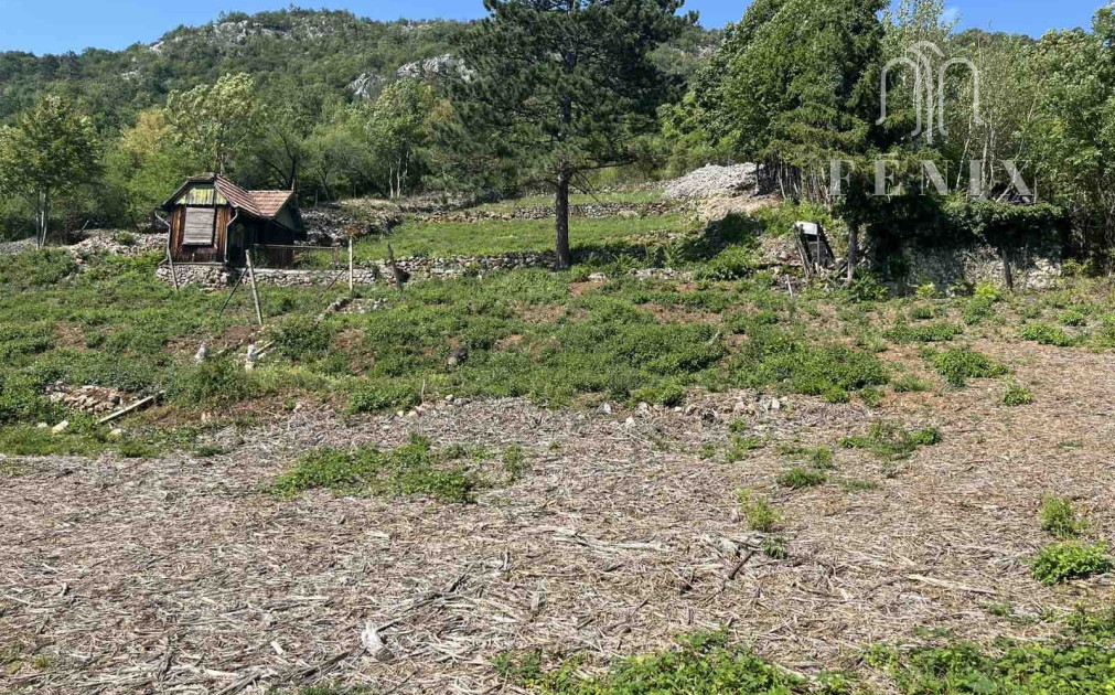 Predaj pozemku – vinica s výhľadom na Hrušovské rybníky