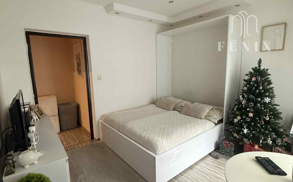 Prenájom útulného 1 iz. bytu-Košice-Terasa