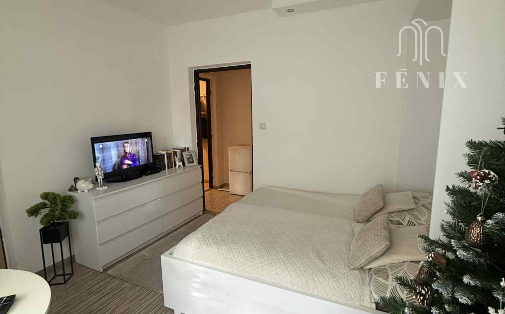 Prenájom útulného 1 iz. bytu-Košice-Terasa