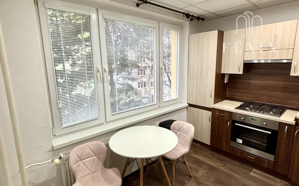 Priestranný 2-izbový byt po rekonštrukcii – Košice, Železníky