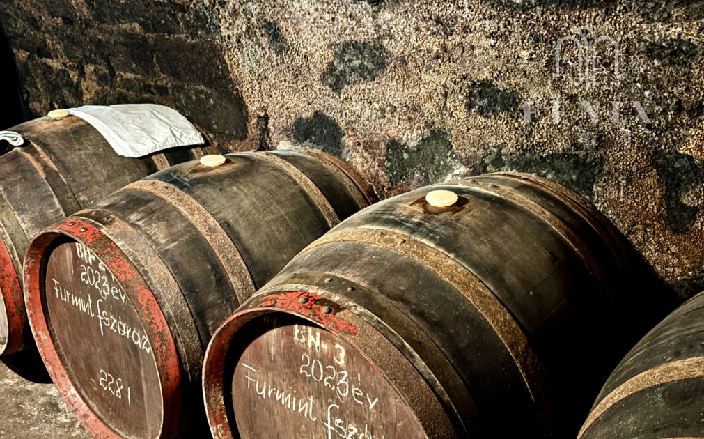 Tokaj vinárstvo: biznis, vinice, pivnica