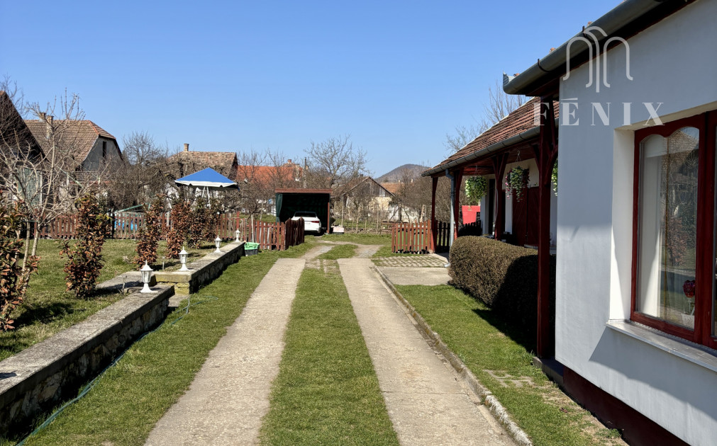 Tokaj vinárstvo: biznis, vinice, pivnica