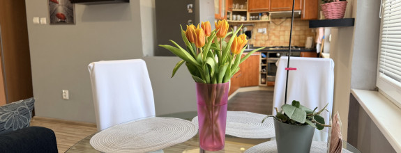 2 izbový byt ČSL armády, 54 m2 +loggia