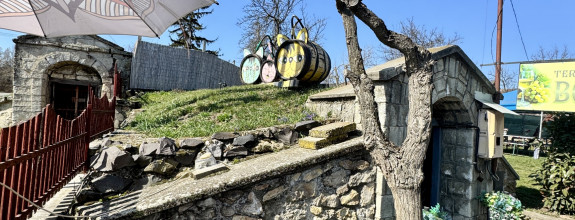 Tokaj vinárstvo: biznis, vinice, pivnica