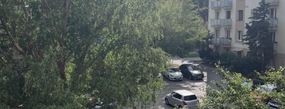 Prenajom 1 izbového bytu, Park mládeže, Košice- Sever.