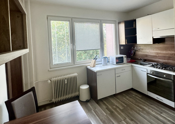 Prenájom 1 izb.bytu-Košice -Terasa-Tr.SNP