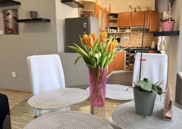 2 izbový byt ČSL armády, 54 m2 +loggia