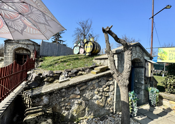 Tokaj vinárstvo: biznis, vinice, pivnica