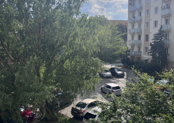 Prenajom 1 izbového bytu, Park mládeže, Košice- Sever.
